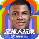 足球大玩家
