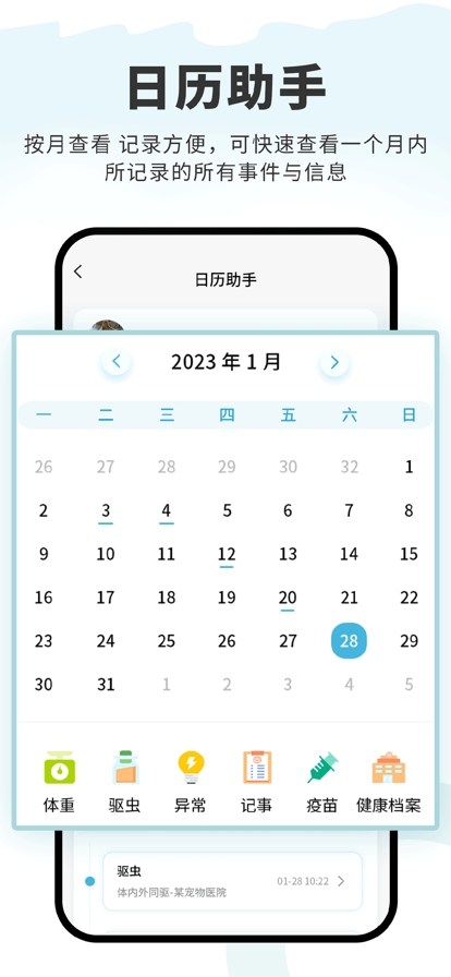 述宠