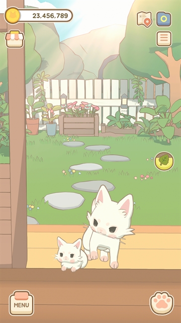 窗外的猫国际服