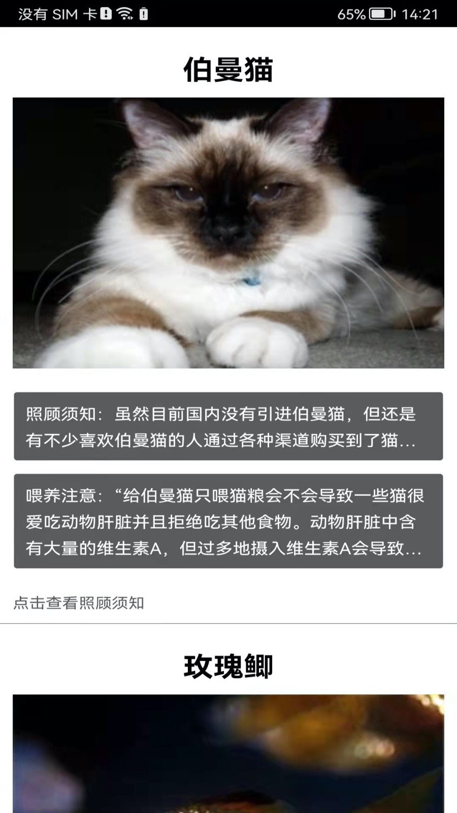 拍照识花神器