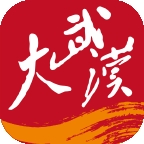 长江日报(大武汉)