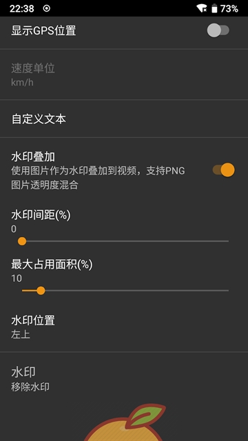 IP Camera