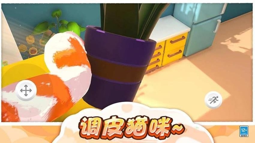 猫咪爱捣蛋