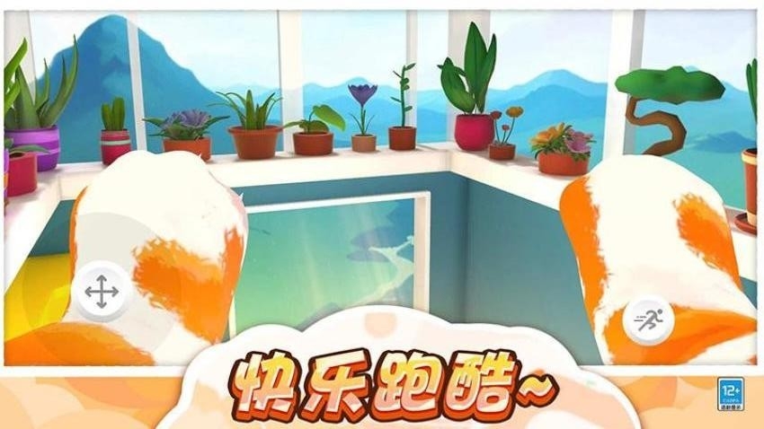 猫咪爱捣蛋