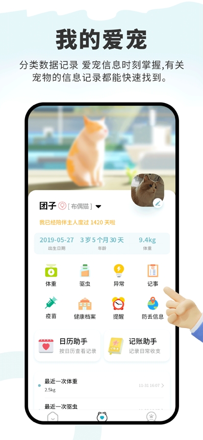 述宠
