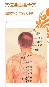 经络养生