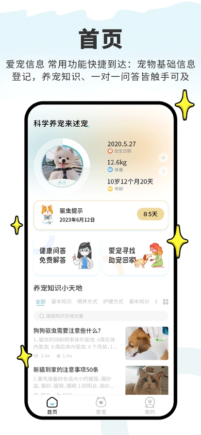 述宠
