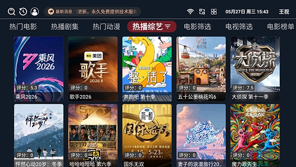 王视
