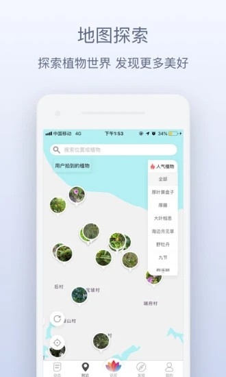 花伴侣识花