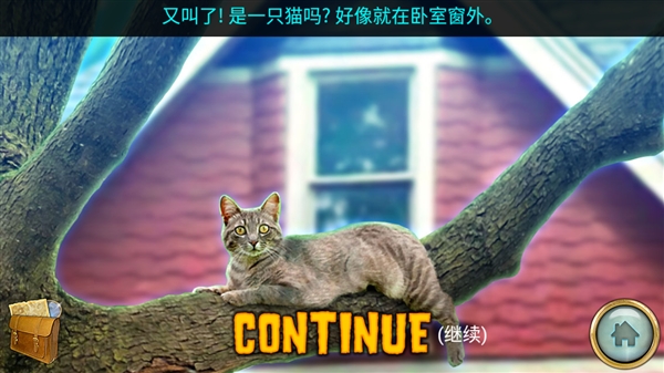 密林溪流(Thickety Creek)
