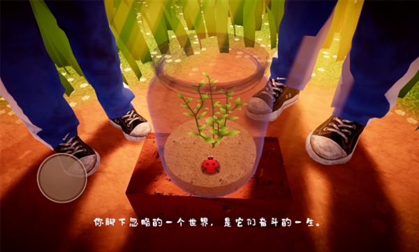 我是虫虫