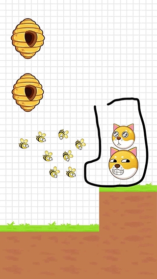 保护狗狗