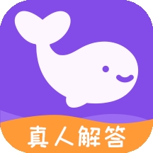 准准