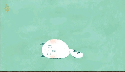PetFurball