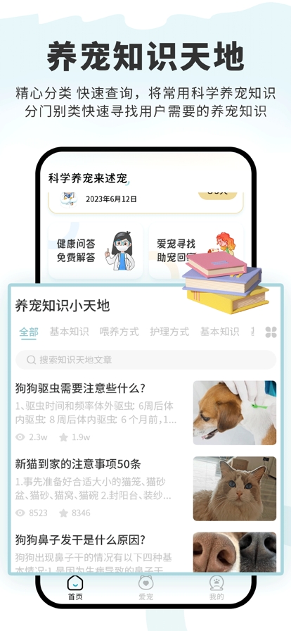 述宠