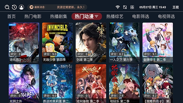 王视