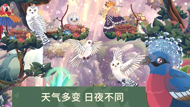 鸟类世界