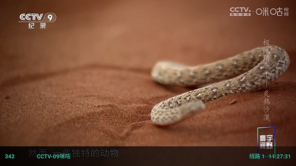 红猫影视233