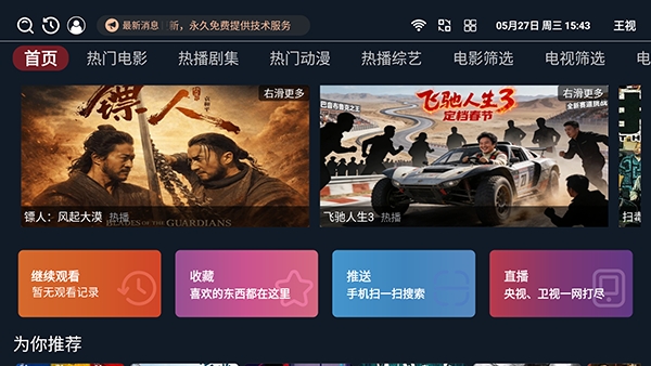 王视