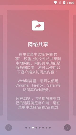 飞鱼播放器
