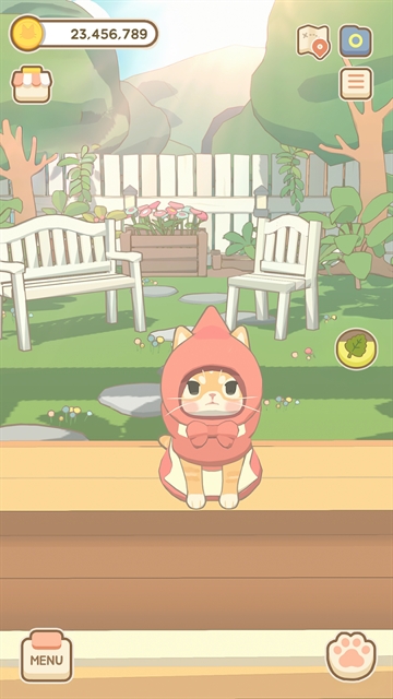 窗外的猫国际服