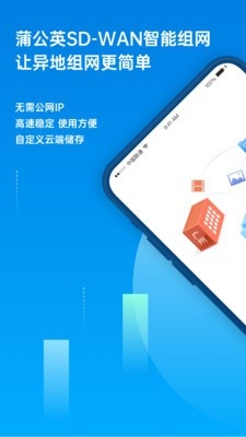 贝锐蒲公英