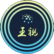 王视
