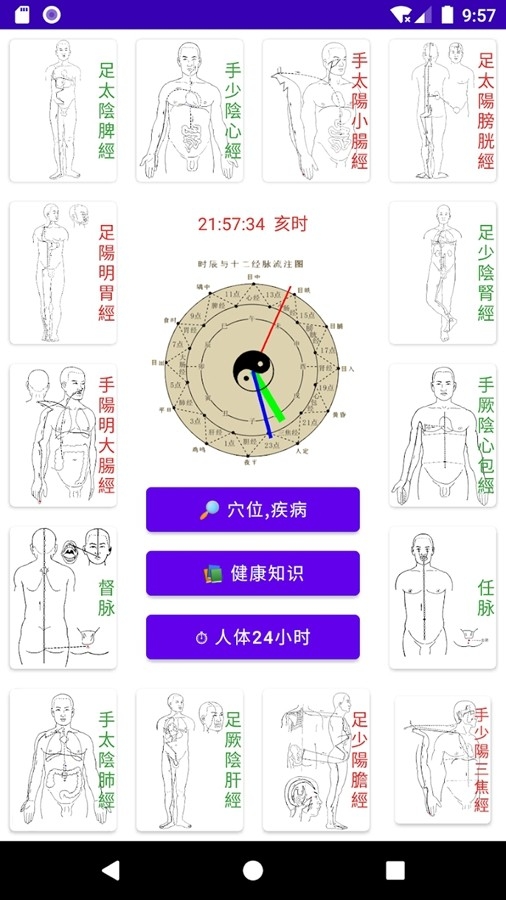 中医经络穴位流注