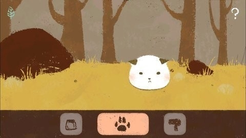 PetFurball
