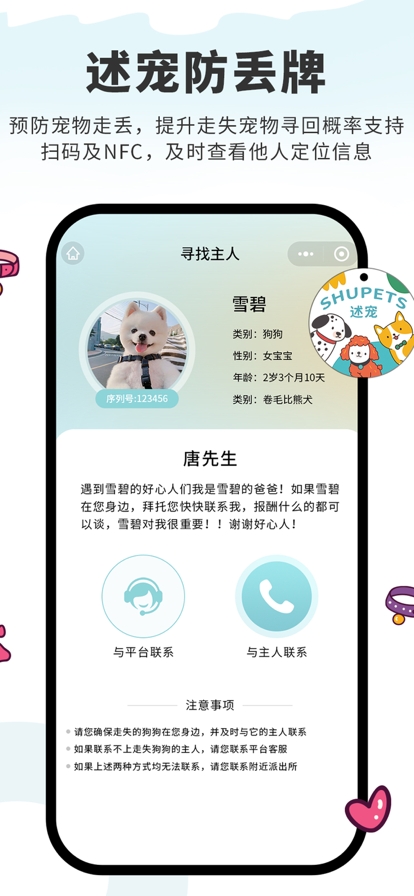 述宠