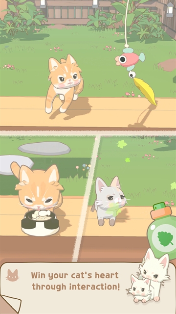 窗外的猫国际服